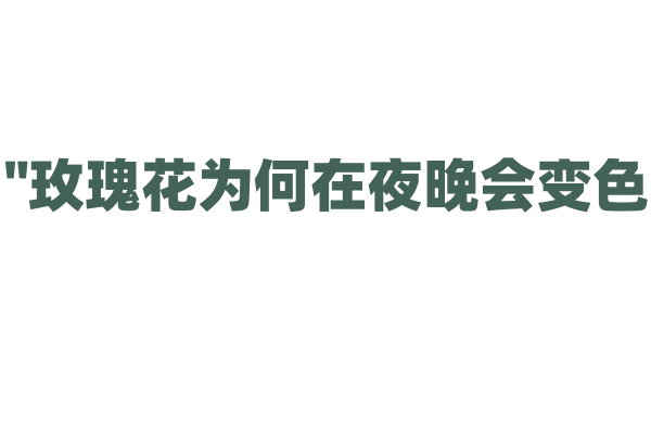 "玫瑰花为何在夜晚会变色？"
